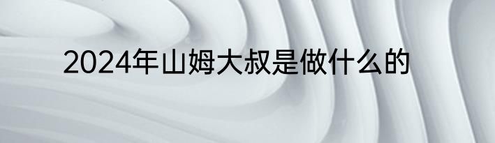 2024年山姆大叔是做什么的