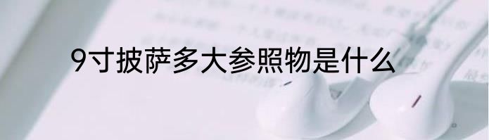 9寸披萨多大参照物是什么