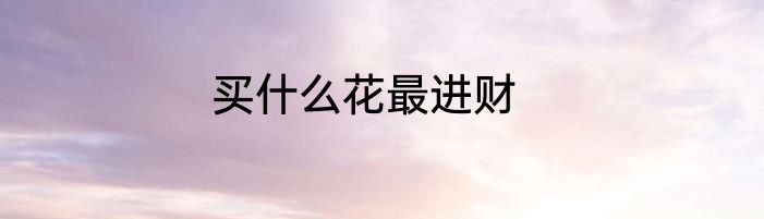 买什么花最进财