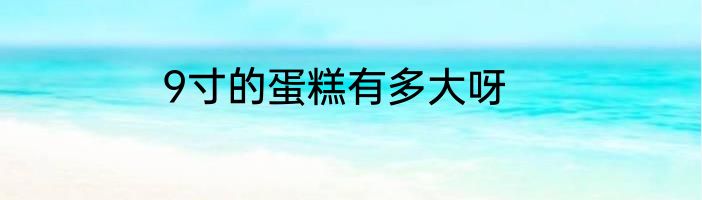 9寸的蛋糕有多大呀