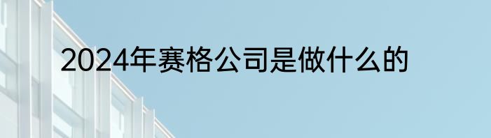 2024年赛格公司是做什么的