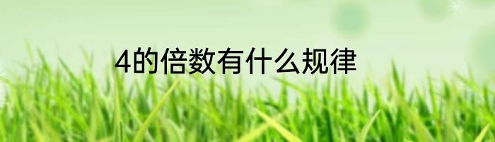 4的倍数有什么规律