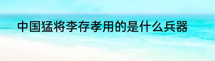 中国猛将李存孝用的是什么兵器
