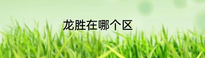 龙胜在哪个区