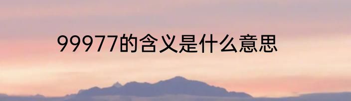 99977的含义是什么意思