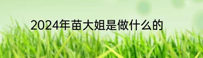 2024年苗大姐是做什么的