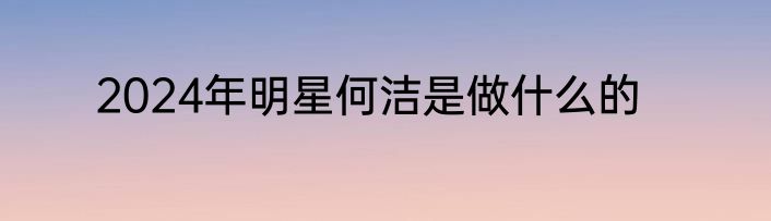 2024年明星何洁是做什么的