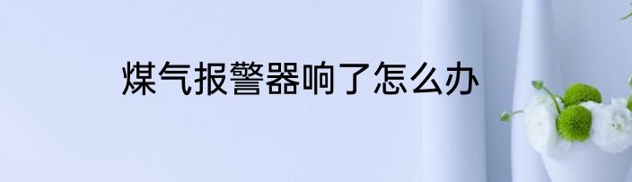 煤气报警器响了怎么办