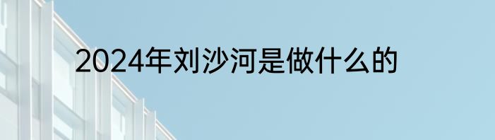2024年刘沙河是做什么的