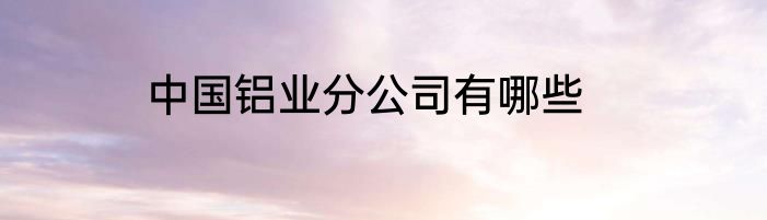 中国铝业分公司有哪些