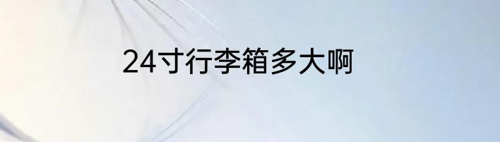 24寸行李箱多大啊