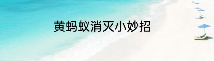 黄蚂蚁消灭小妙招