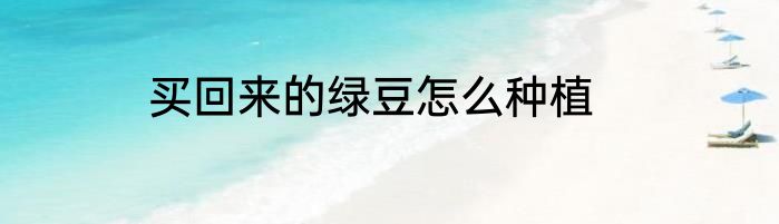 萌萌萌萌意思是什么