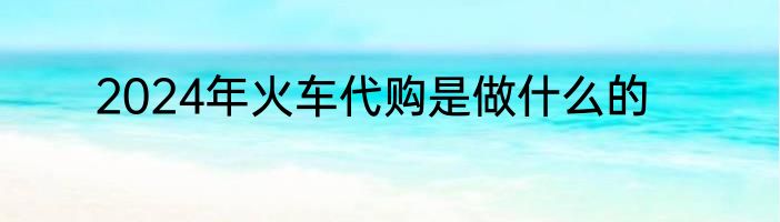 2024年火车代购是做什么的