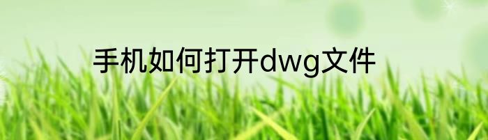 手机如何打开dwg文件