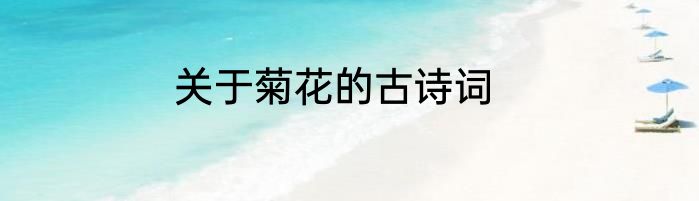 关于菊花的古诗词