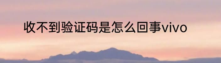 收不到验证码是怎么回事vivo