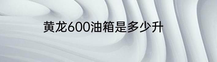 黄龙600油箱是多少升