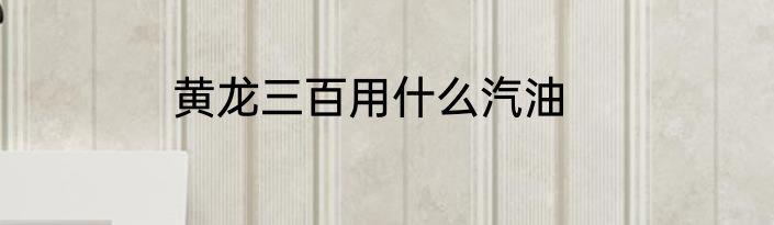 黄龙三百用什么汽油