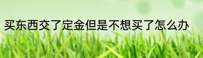 买东西交了定金但是不想买了怎么办