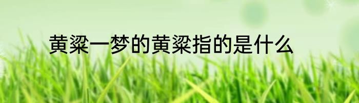 黄粱一梦的黄粱指的是什么