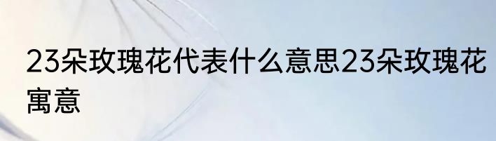 23朵玫瑰花代表什么意思23朵玫瑰花寓意