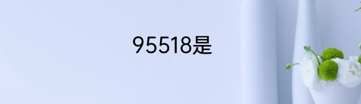 95518是