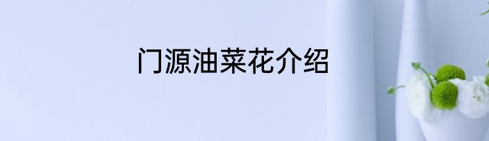 门源油菜花介绍