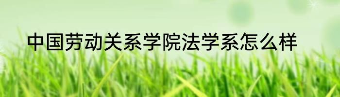 中国劳动关系学院法学系怎么样