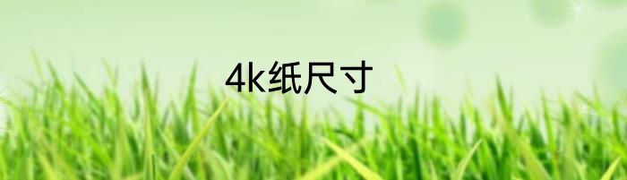 4k纸尺寸