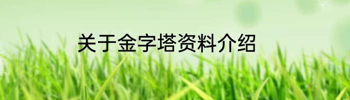 关于金字塔资料介绍