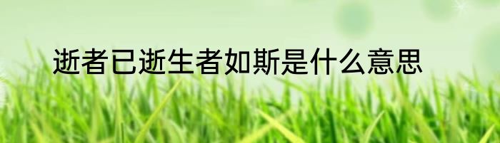 逝者已逝生者如斯是什么意思