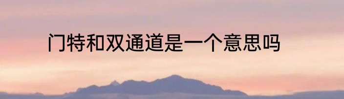 门特和双通道是一个意思吗