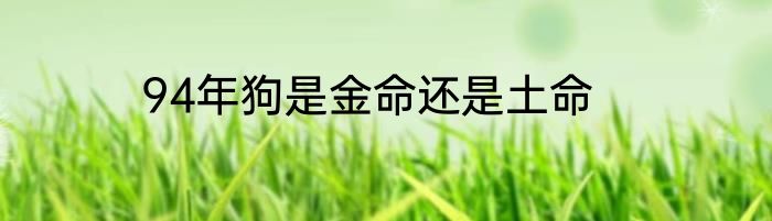 94年狗是金命还是土命