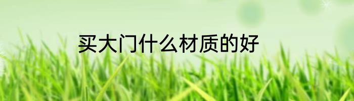 买大门什么材质的好