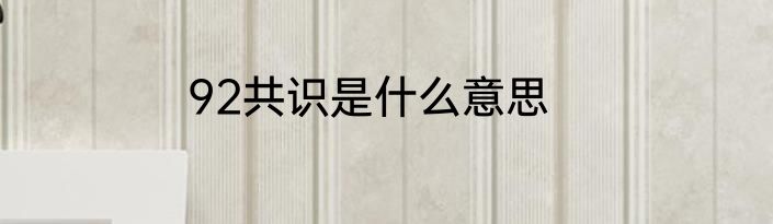 92共识是什么意思