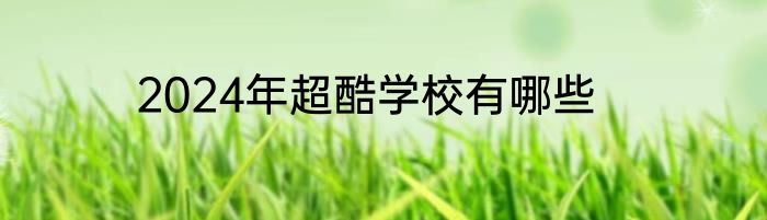 2024年超酷学校有哪些