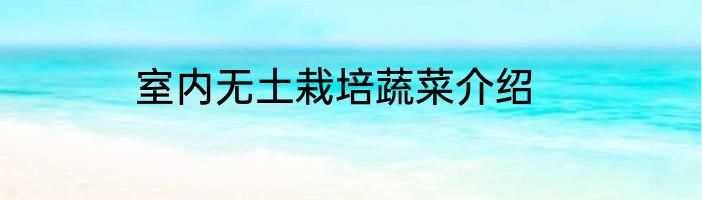 室内无土栽培蔬菜介绍