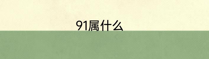91属什么