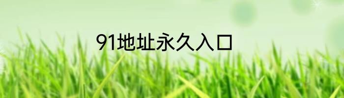 91地址永久入口