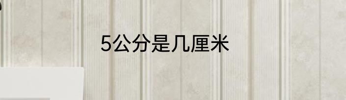 5公分是几厘米