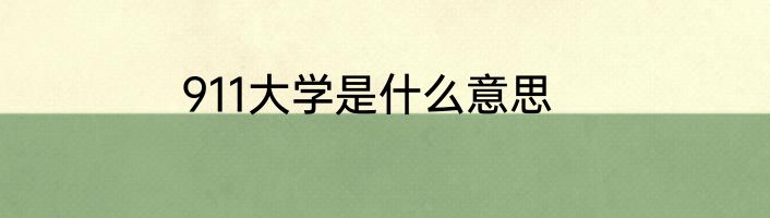 911大学是什么意思