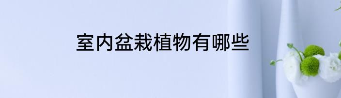 室内盆栽植物有哪些