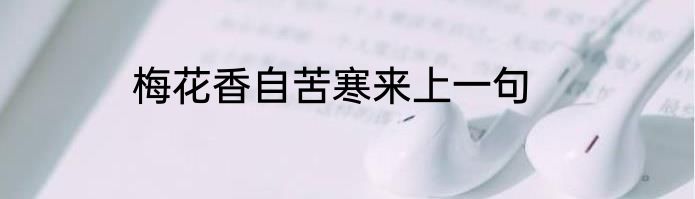 梅花香自苦寒来上一句