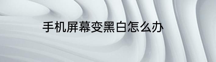 手机屏幕变黑白怎么办