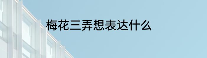梅花三弄想表达什么