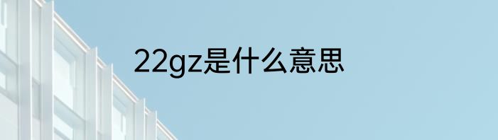 22gz是什么意思