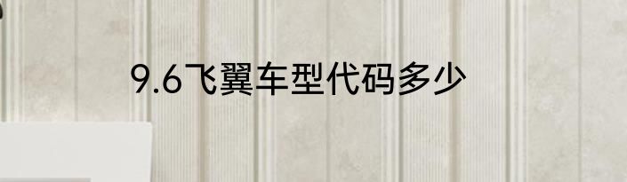9.6飞翼车型代码多少