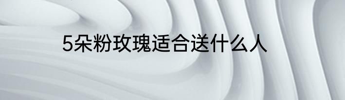 5朵粉玫瑰适合送什么人