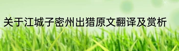 关于江城子密州出猎原文翻译及赏析